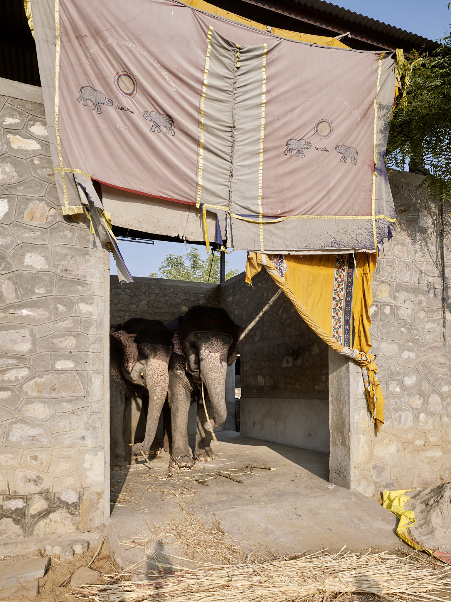 E16613 · RMA · Hathi Gaon · PREVIEWS
